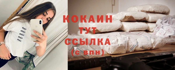 ПСИЛОЦИБИНОВЫЕ ГРИБЫ Осинники