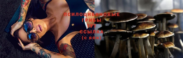 хмурый Алексеевка