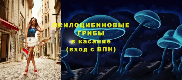 хмурый Алексеевка